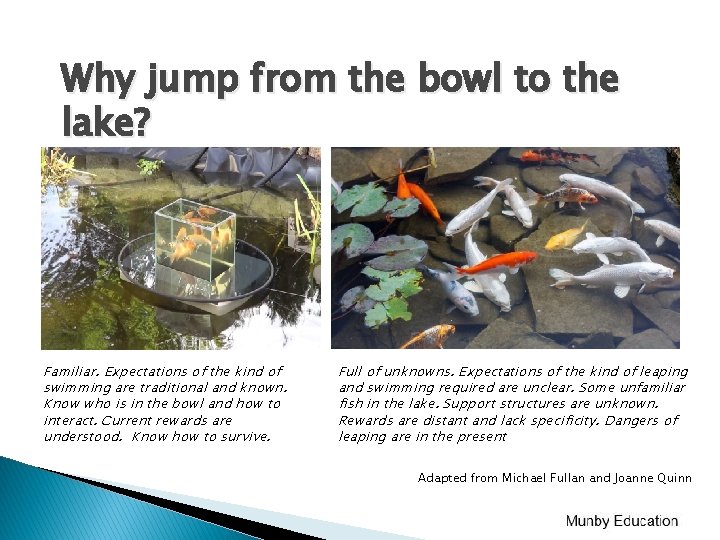 Why jump from the bowl to the lake? Familiar. Expectations of the kind of Why jump from the bowl to the lake? Familiar. Expectations of the kind of