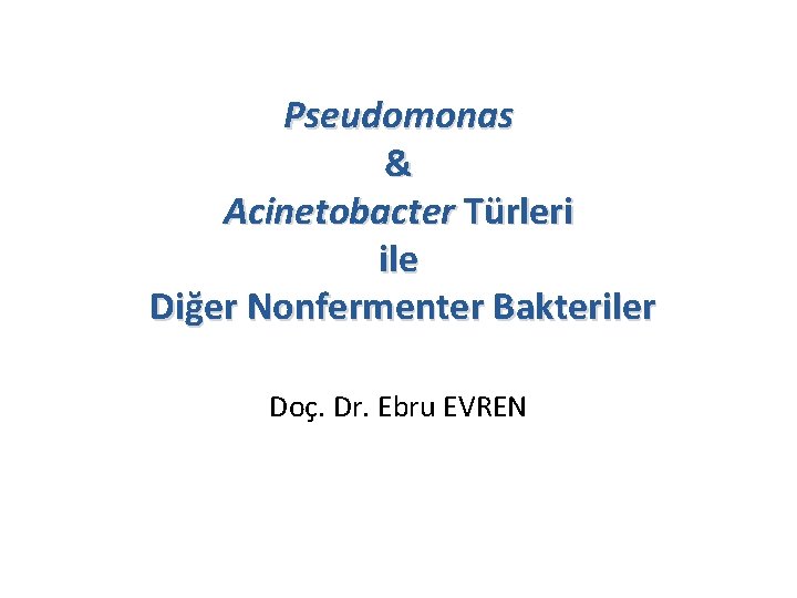 Pseudomonas & Acinetobacter Türleri ile Diğer Nonfermenter Bakteriler Doç. Dr. Ebru EVREN 