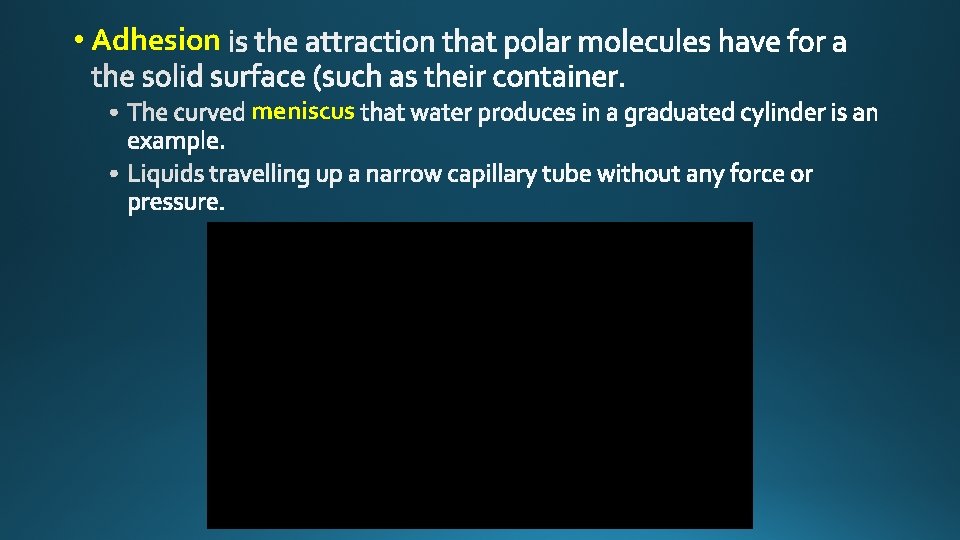  • Adhesion meniscus 