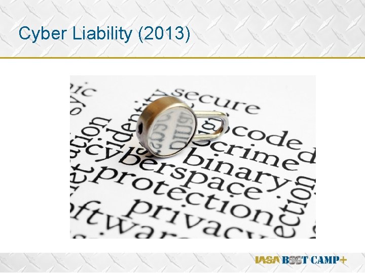 Cyber Liability (2013) v 