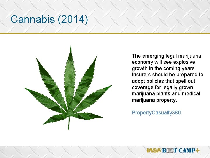 Cannabis (2014) v The emerging legal marijuana economy will see explosive growth in the
