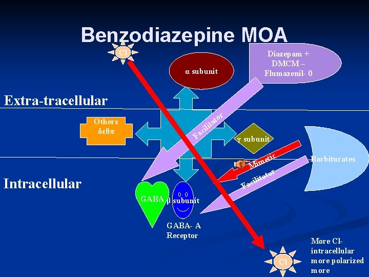 Benzodiazepine MOA Cl Diazepam + DMCM – Flumazenil- 0 α subunit Extra-tracellular Others δεθπ