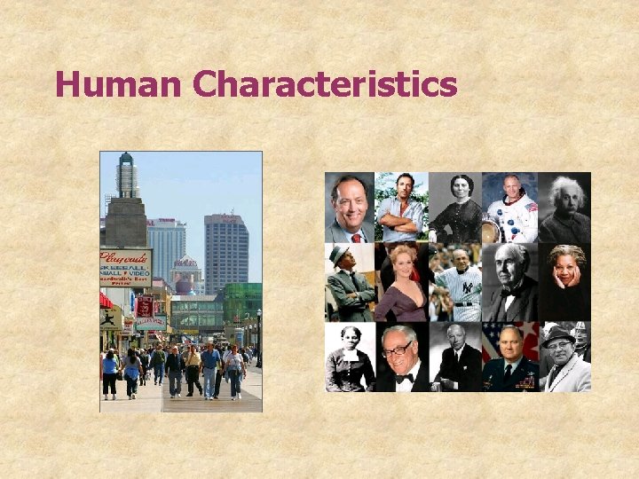 Human Characteristics 