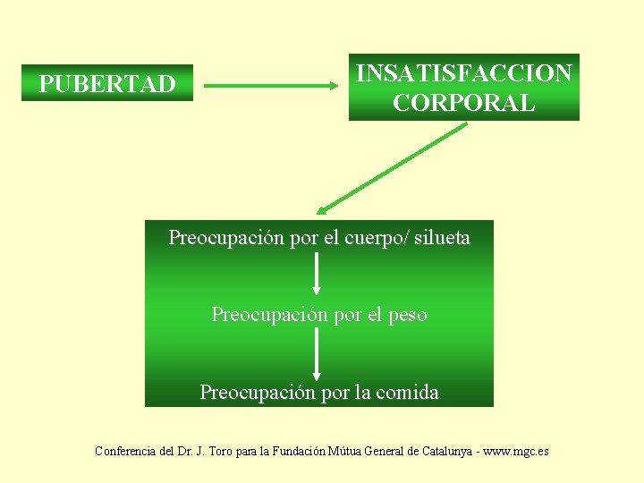 PUBERTAD INSATISFACCION CORPORAL Preocupación por el cuerpo/ silueta Preocupación por el peso Preocupación por