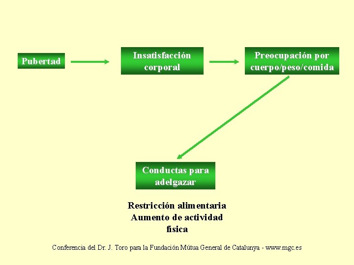 Pubertad Insatisfacción corporal Preocupación por cuerpo/peso/comida Conductas para adelgazar Restricción alimentaria Aumento de actividad