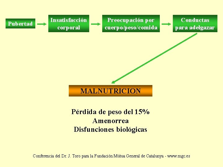 Pubertad Insatisfacción corporal Preocupación por cuerpo/peso/comida Conductas para adelgazar MALNUTRICION Pérdida de peso del