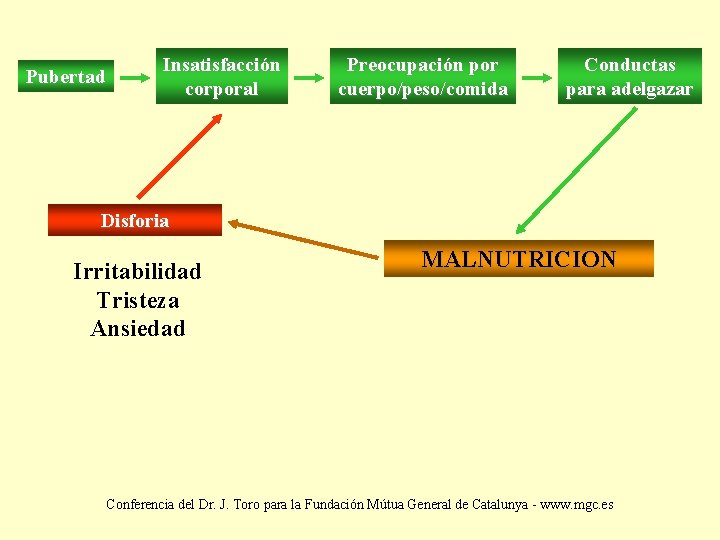 Pubertad Insatisfacción corporal Preocupación por cuerpo/peso/comida Conductas para adelgazar Disforia Irritabilidad Tristeza Ansiedad MALNUTRICION
