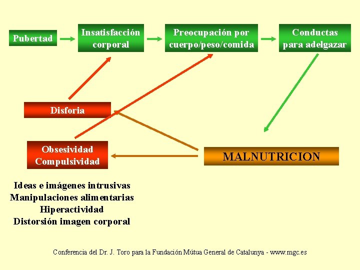 Pubertad Insatisfacción corporal Preocupación por cuerpo/peso/comida Conductas para adelgazar Disforia Obsesividad Compulsividad MALNUTRICION Ideas