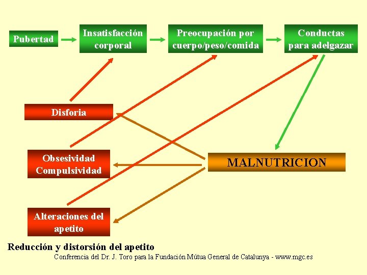 Pubertad Insatisfacción corporal Preocupación por cuerpo/peso/comida Conductas para adelgazar Disforia Obsesividad Compulsividad MALNUTRICION Alteraciones