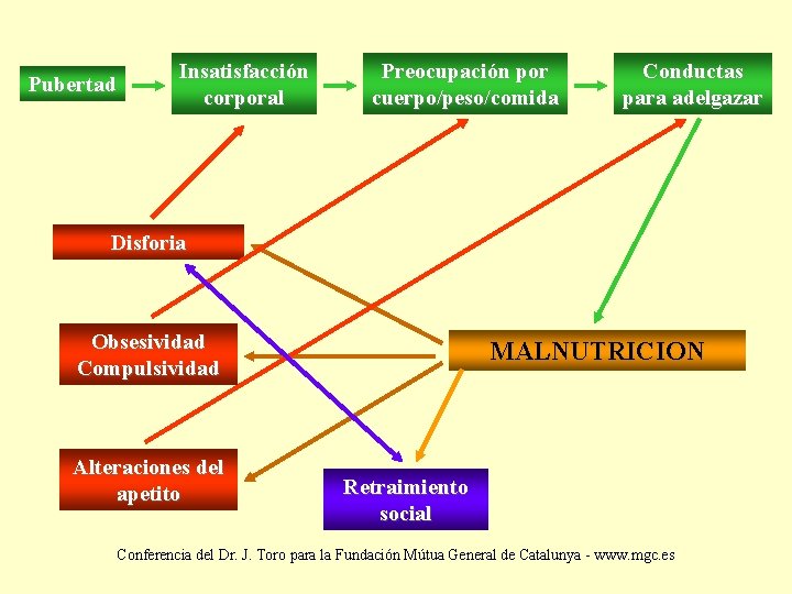 Pubertad Insatisfacción corporal Preocupación por cuerpo/peso/comida Conductas para adelgazar Disforia Obsesividad Compulsividad Alteraciones del