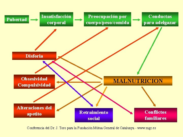 Pubertad Insatisfacción corporal Preocupación por cuerpo/peso/comida Conductas para adelgazar Disforia Obsesividad Compulsividad Alteraciones del