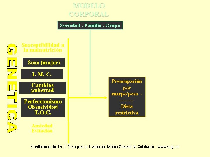 MODELO CORPORAL Sociedad. Familia. Grupo Susceptibilidad a la malnutrición Sexo (mujer) I. M. C.