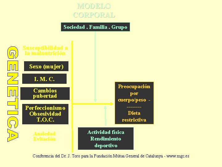 MODELO CORPORAL Sociedad. Familia. Grupo Susceptibilidad a la malnutrición Sexo (mujer) I. M. C.