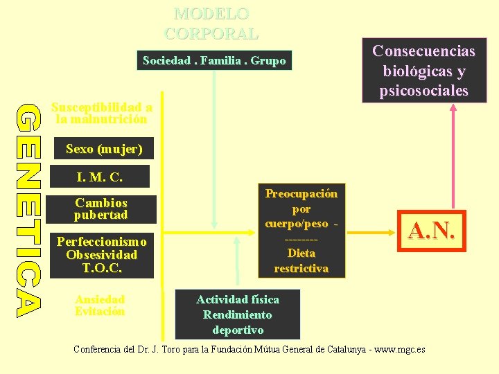 MODELO CORPORAL Sociedad. Familia. Grupo Susceptibilidad a la malnutrición Consecuencias biológicas y psicosociales Sexo