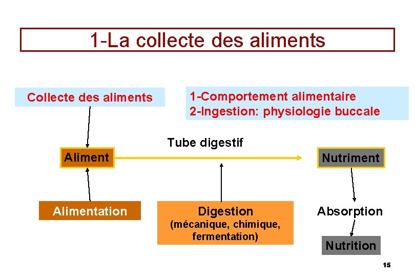 1 -La collecte des aliments Collecte des aliments 1 -Comportement alimentaire 2 -Ingestion: physiologie