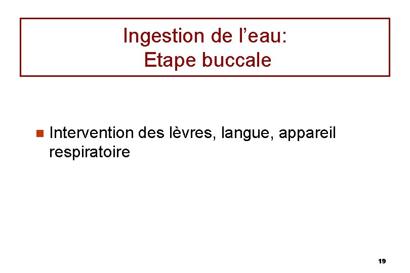 Ingestion de l’eau: Etape buccale n Intervention des lèvres, langue, appareil respiratoire 19 