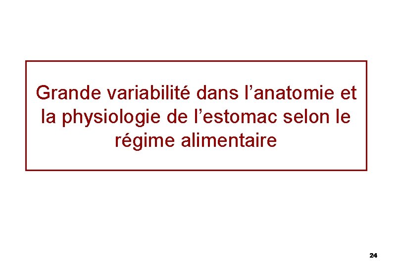 Grande variabilité dans l’anatomie et la physiologie de l’estomac selon le régime alimentaire 24