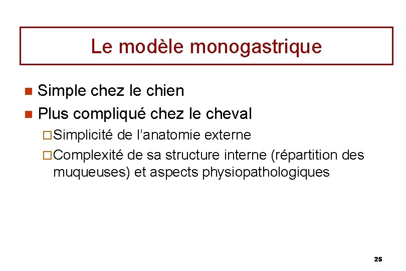 Le modèle monogastrique Simple chez le chien n Plus compliqué chez le cheval n