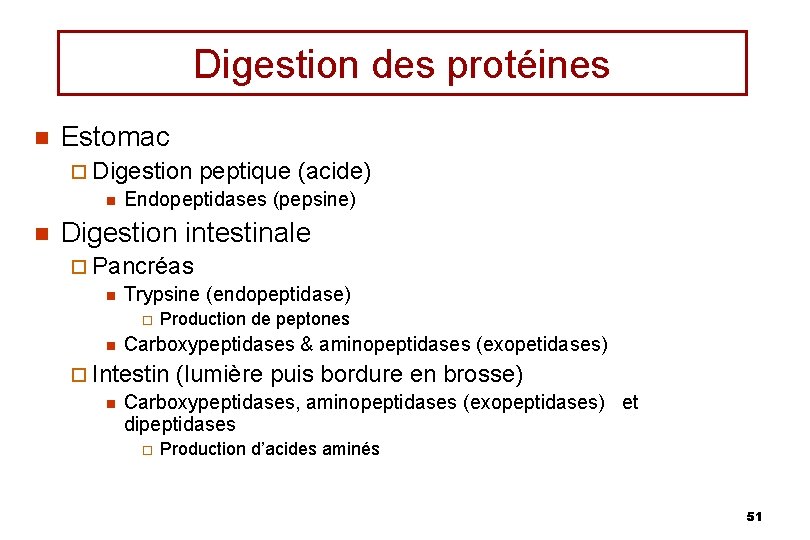 Digestion des protéines n Estomac ¨ Digestion peptique (acide) n Endopeptidases (pepsine) n Digestion