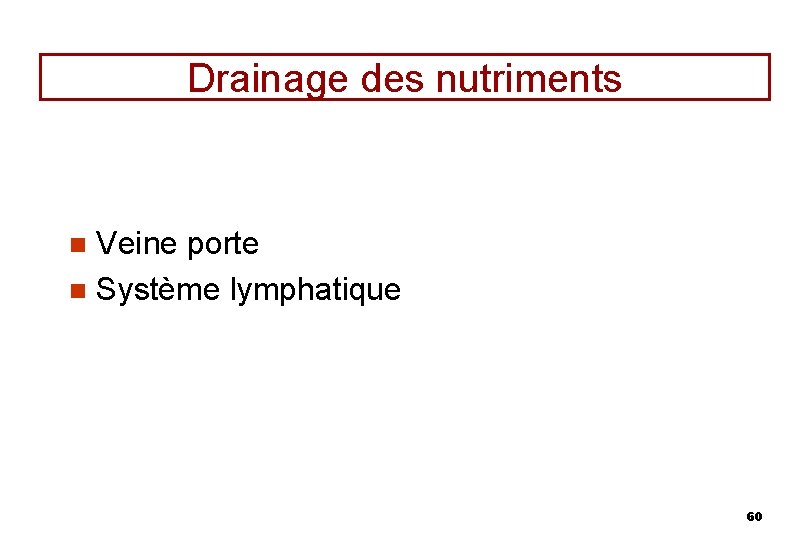 Drainage des nutriments Veine porte n Système lymphatique n 60 