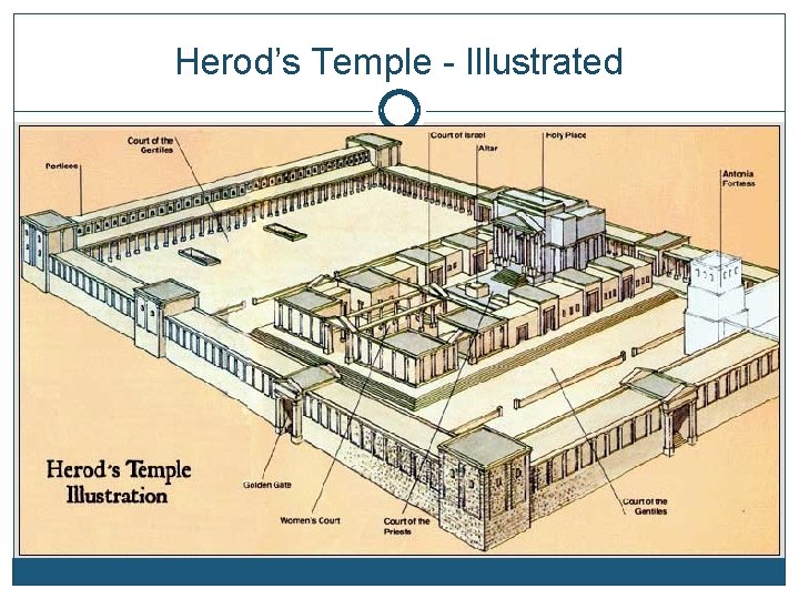 Herod’s Temple - Illustrated 