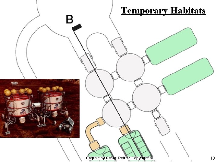 Temporary Habitats Graphic by Georgi Petrov. Copyright © 10 