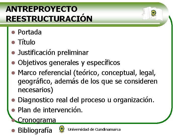 ANTREPROYECTO REESTRUCTURACIÓN l l l l l Portada Título Justificación preliminar Objetivos generales y