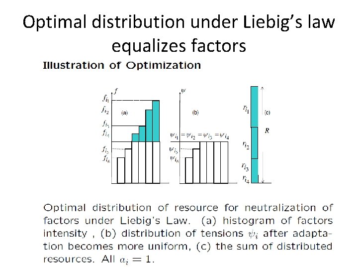 Optimal distribution under Liebig’s law equalizes factors 