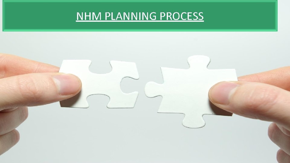 NHM PLANNING PROCESS NHM PLANNING PROCESS