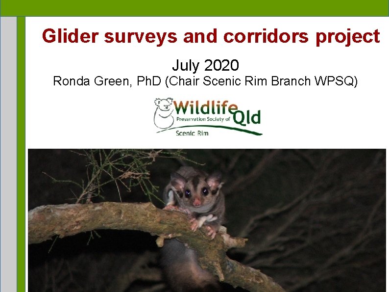 Glider surveys and corridors project July 2020 Ronda Green, Ph. D (Chair Scenic Rim