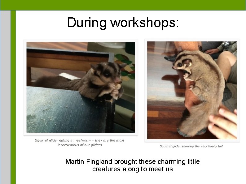 During workshops: Martin Fingland brought these charming little creatures along to meet us 
