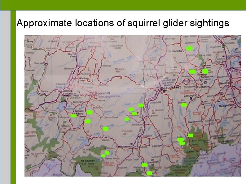 Approximate locations of squirrel glider sightings 