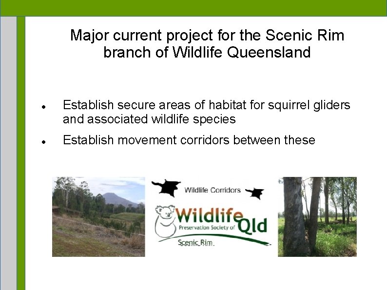 Major current project for the Scenic Rim branch of Wildlife Queensland Establish secure areas