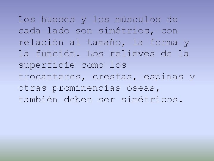 Los huesos y los músculos de cada lado son simétrios, con relación al tamaño,