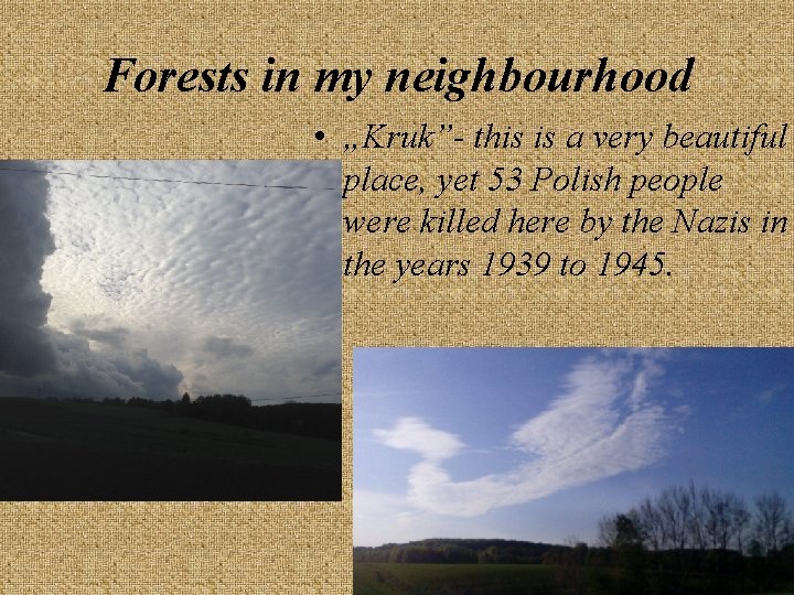 Forests in my neighbourhood • „Kruk”- this is a very beautiful place, yet 53