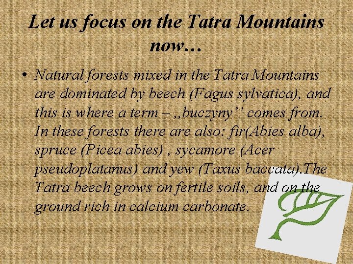 Let us focus on the Tatra Mountains now… • Natural forests mixed in the