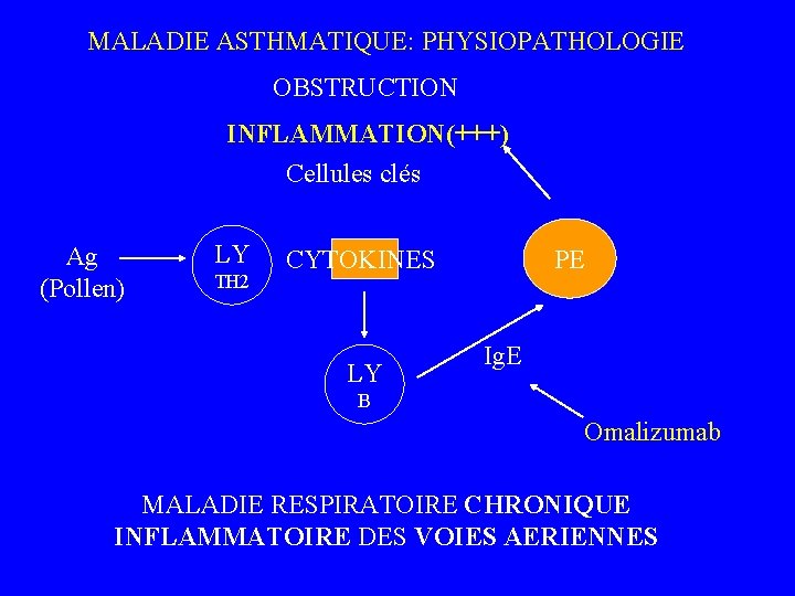  MALADIE ASTHMATIQUE: PHYSIOPATHOLOGIE OBSTRUCTION INFLAMMATION(+++) Cellules clés Ag (Pollen) LY TH 2 PE