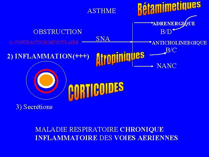 ASTHME ADRENERGIQUE OBSTRUCTION 1) CONTRACTION MUSCULAIRE 2) INFLAMMATION(+++) SNA B/D ANTICHOLINERGIQUE B/C NANC 3)