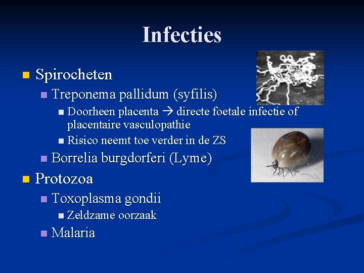 Infecties n Spirocheten n Treponema pallidum (syfilis) directe foetale infectie of placentaire vasculopathie n Infecties n Spirocheten n Treponema pallidum (syfilis) directe foetale infectie of placentaire vasculopathie n