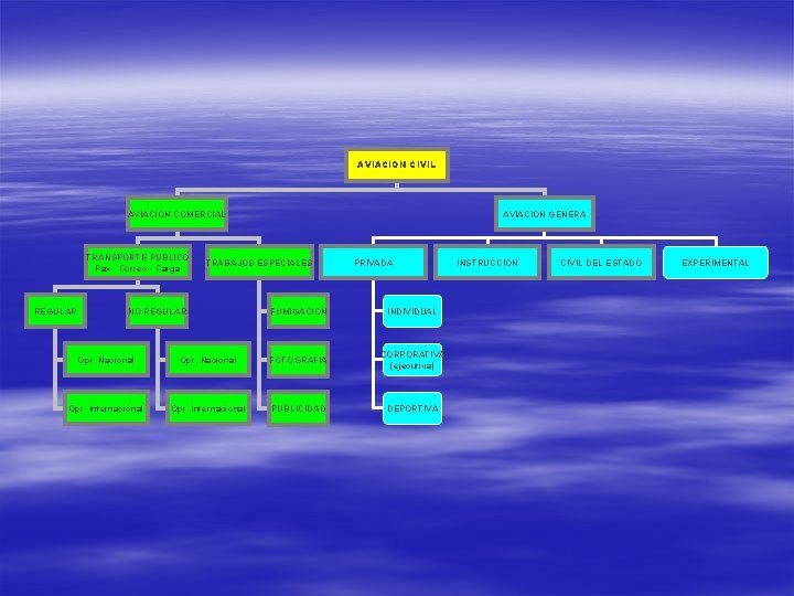 AVIACION CIVIL AVIACION COMERCIAL TRANSPORTE PUBLICO Pax - Correo - Carga REGULAR AVIACION GENERA