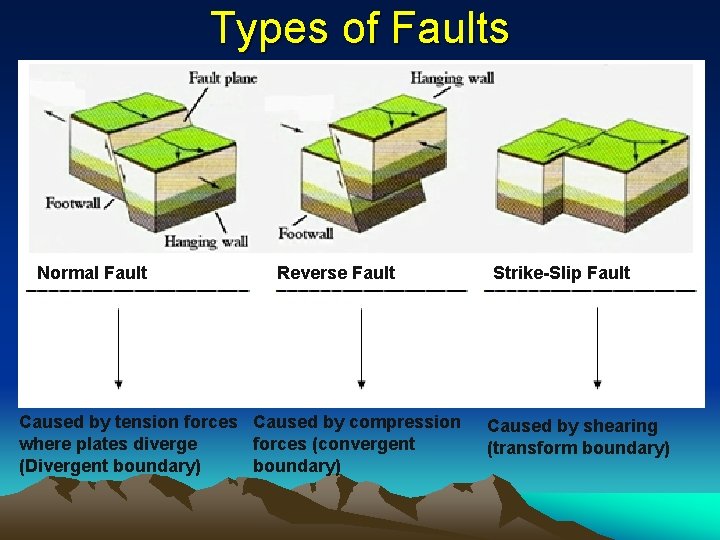 Types of Faults Normal Fault Reverse Fault Caused by tension forces Caused by compression