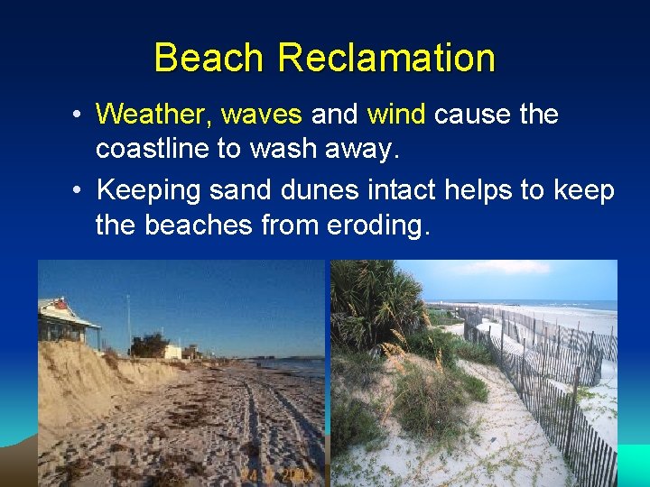 Beach Reclamation • Weather, waves and wind cause the coastline to wash away. •