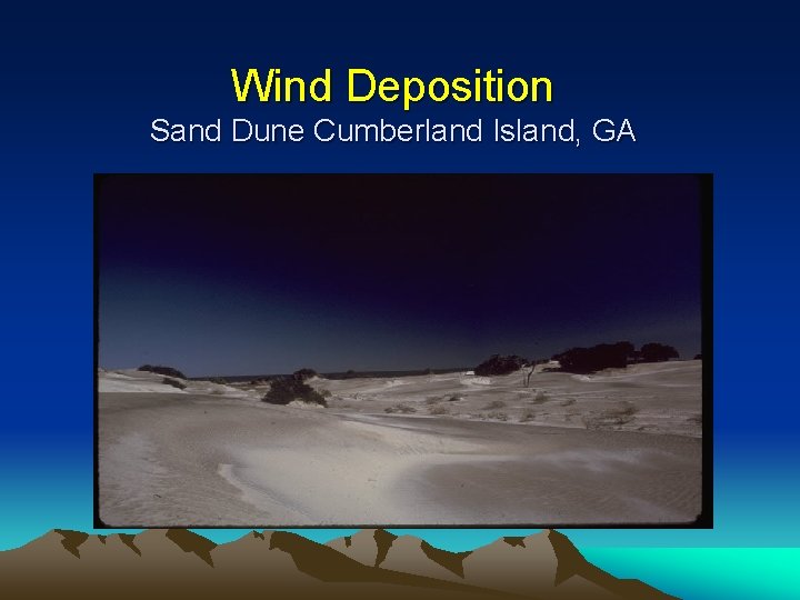 Wind Deposition Sand Dune Cumberland Island, GA 