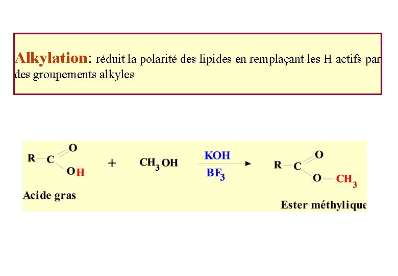 Alkylation: réduit la polarité des lipides en remplaçant les H actifs par des groupements Alkylation: réduit la polarité des lipides en remplaçant les H actifs par des groupements