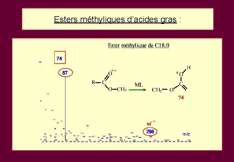 Esters méthyliques d’acides gras : Esters méthyliques d’acides gras :