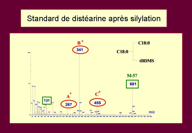 Standard de distéarine après silylation Standard de distéarine après silylation