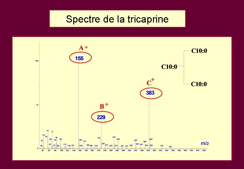 Spectre de la tricaprine Spectre de la tricaprine