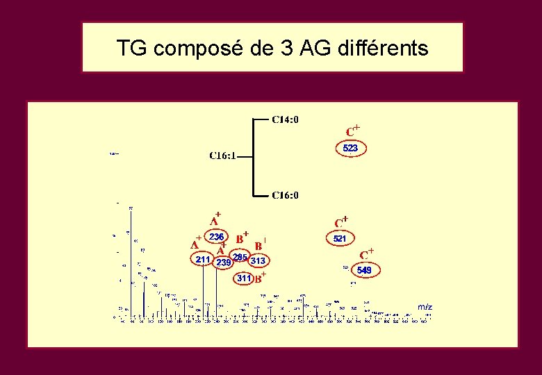 TG composé de 3 AG différents TG composé de 3 AG différents