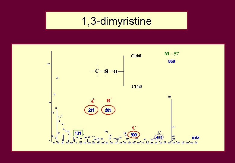 1, 3 -dimyristine 1, 3 -dimyristine