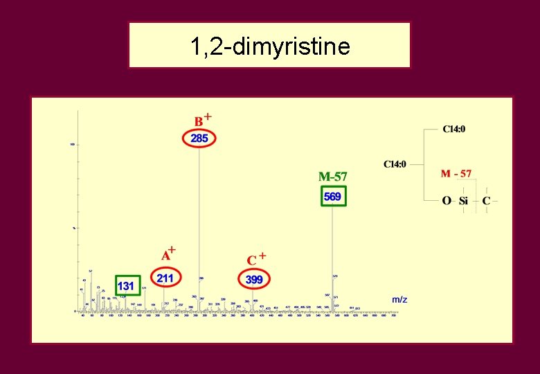 1, 2 -dimyristine 1, 2 -dimyristine